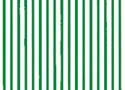 trasferibilir41 Tiralinee 0,6mm, VERDE. Trasferibili R41 in fogli 8,3x35cm R41GRTL6V.