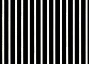 trasferibilir41 Tiralinee 0,8mm, BIANCO. Trasferibili R41 in fogli 8,3x35cm R41GRTL8B.