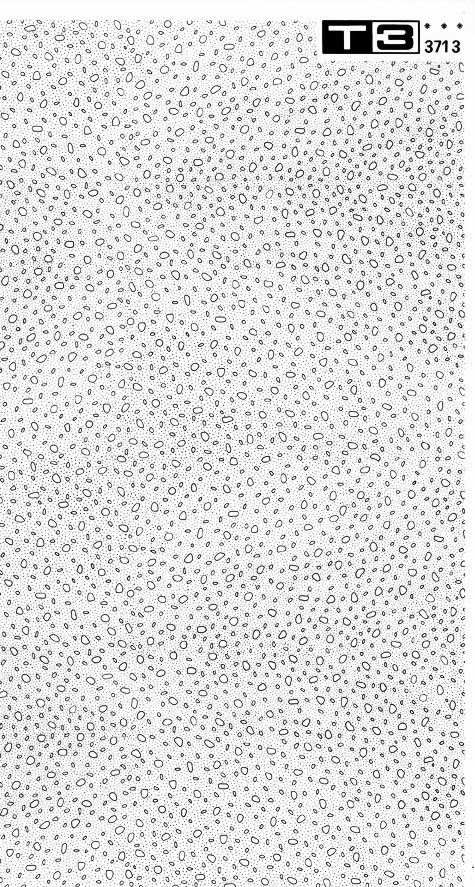 trasferibilir41 Trame Autoadesive, Pavimenti esterni, NERO. In fogli 25x35cm T3 Adexplan, pellicola di acetato trasparente spessore 38 microns autoadesiva. Su T3 si scrive, si trasferisce, si colorA.