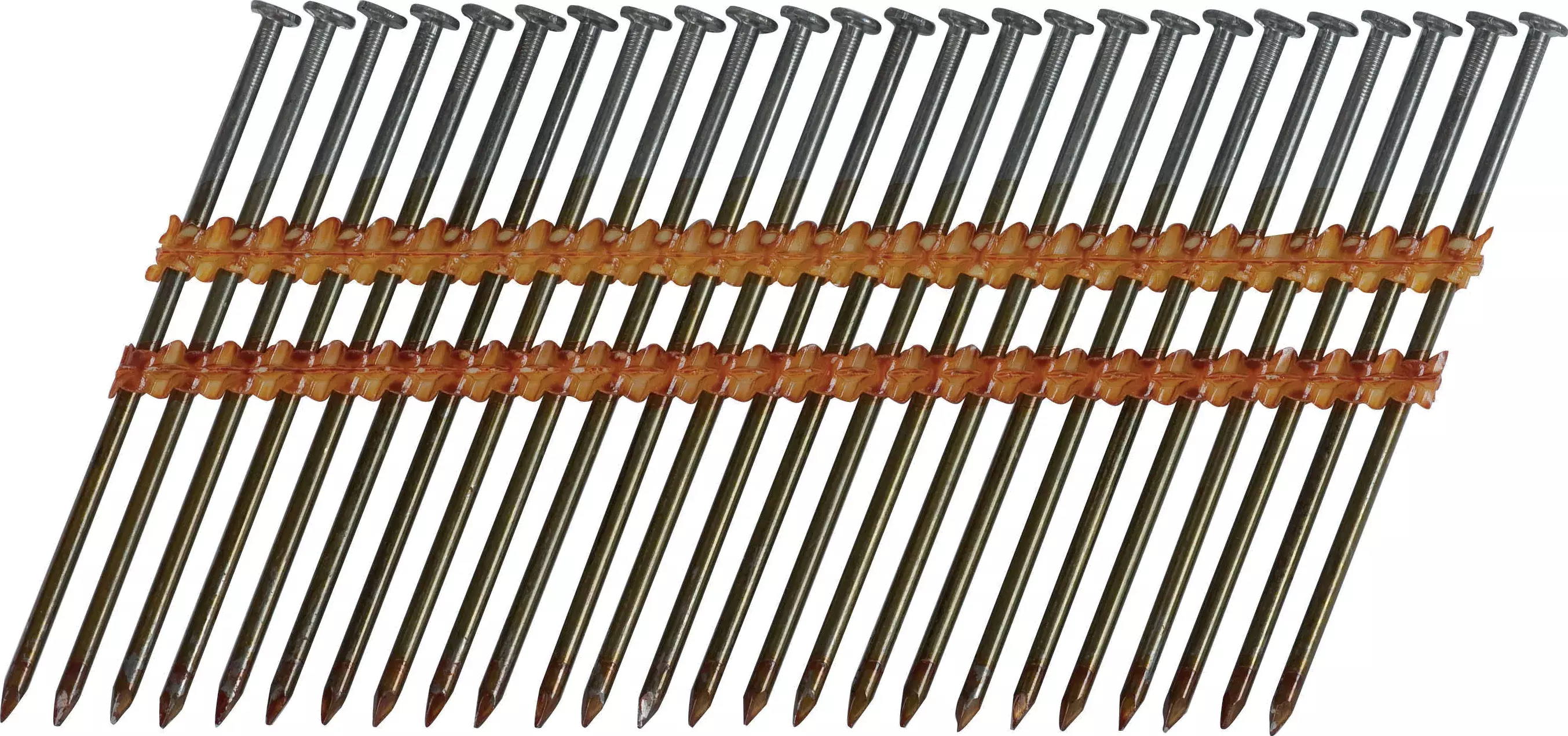 gbc Chiodo testa tonda liscio ROM1298010.