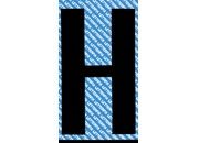 gbc Carattere autoadesivo -h.-, h.20mm RSHKNPN02H.