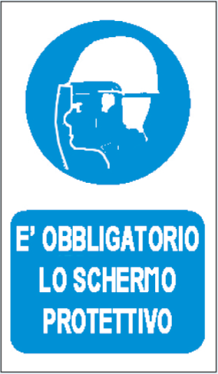 gbc  obbligatatorio lo schermo protettivo RSHT06041.