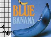 gbc MaxiQuaderno PuntoMetallico FruitsLine, Quadretti4mm, BlueBanana RUG4882.04.