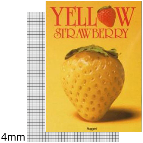 gbc MaxiQuaderno PuntoMetallico FruitsLine, Quadretti4mm, YellowStrawberry formato A4, legatura: Punto metallico, foliazione: 21 fogli, carta BIANCA da 80gr, quadretti 4mm.