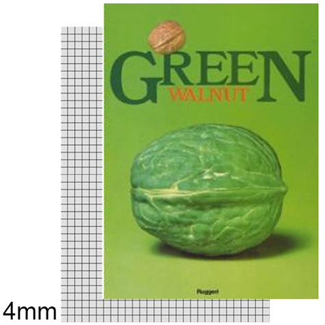 gbc MaxiQuaderno PuntoMetallico FruitsLine, Quadretti4mm, GreenWalnut formato A4, legatura: Punto metallico, foliazione: 21 fogli, carta BIANCA da 80gr, quadretti 4mm.