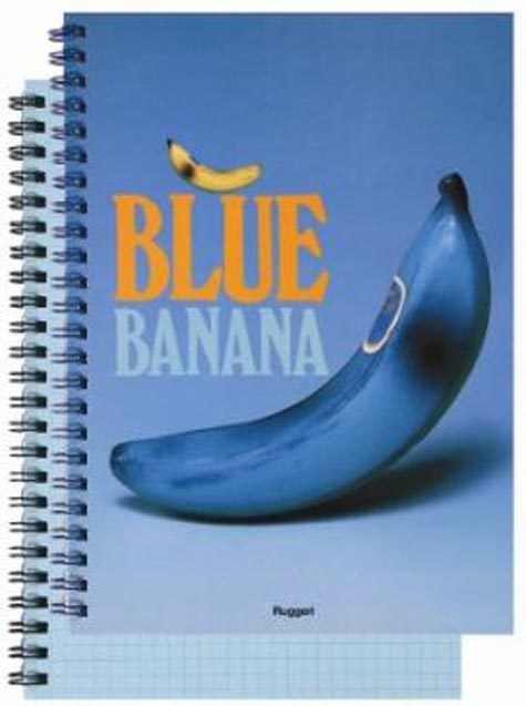 gbc FruitsLineRuggeri. QuadernoSpiralatoQuadretti5mm, A5. BlueBanana Blocchi spiralati di 70 fogli da 80gr. Formato A5 (14,8x21cm), quadretti 5mm. In carta azzurra.