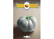 gbc VegLineRuggeri. BloccoCollato+4fori, Righe8mm. White Tomato Blocco collato sul lato lungo, con 4 buchi per archiviazione. 70 fogli da 80gri. Formato A4 (21x29.7cm), righe da 8mm.