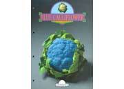 gbc VegLineRuggeri. BloccoCollato+4fori, Righe8mm. Blue Cauliflower rug3852.01.