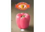 gbc VegLineRuggeri. BloccoCollato+4fori, Righe8mm. Pink Pepper Blocco collato sul lato lungo, con 4 buchi per archiviazione. 70 fogli da 80gri. Formato A4 (21x29.7cm), righe da 8mm.