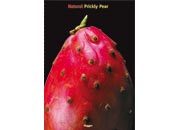 gbc Raccoglitore Natural Fruit (6 soggetti) con 4 anelli da diam. 30. Prickly Pear formato A4+, legatura: 4 anelle diam.30, carta da -gr.