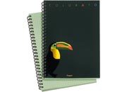 gbc QuadernoZooRuggeri, SpiralatoLatoLungo, 50fogliA6, CartaVerde Colorato formato A6, legatura: W.O. lato lungo, foliazione: 50 fogli, carta da 80gr, quadretti 3mm rug6340.03.CO