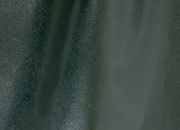 legatoria EcopelleTintaUnita VenaturaLeggera, Fedrigoni VERDEforesta PVC313.