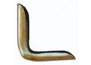 legatoria Angolino metallico oro 24 carati 8mm per lato, protegge copertine spesse fino a 1,8mm.