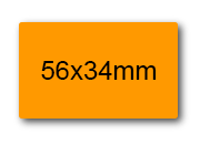 wereinaristea EtichetteAutoadesive 56x34mm(34x56) Carta ARANCIONE, adesivo permanente, su foglietti da cm 15,2x12,5. 8 etichette per foglietto sog10041ar